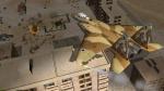 Gaza Co-30